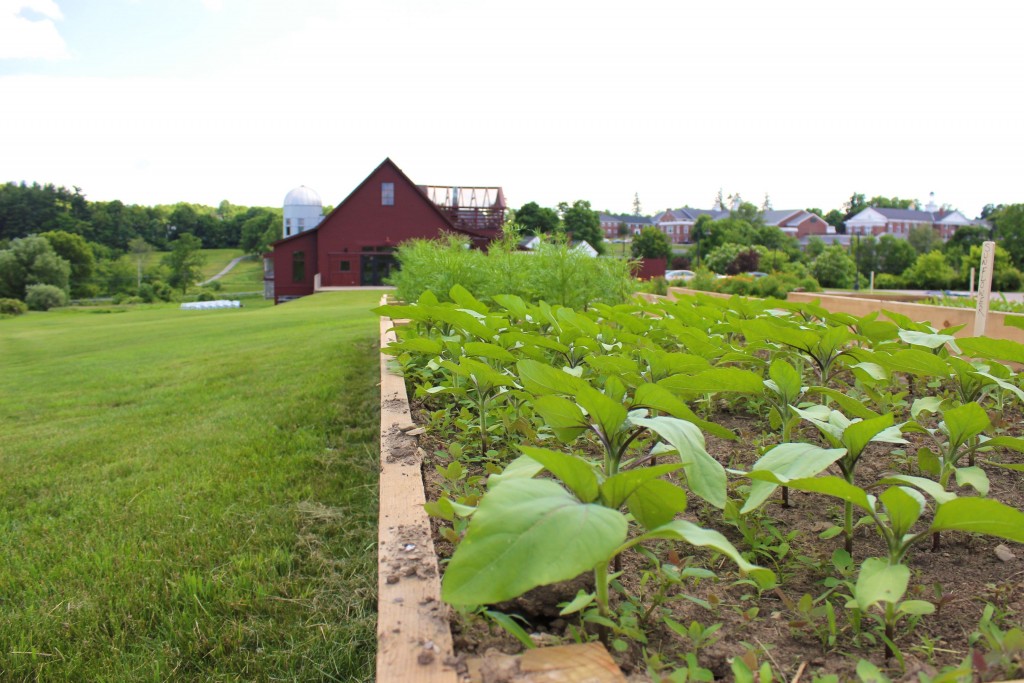 farmjune02